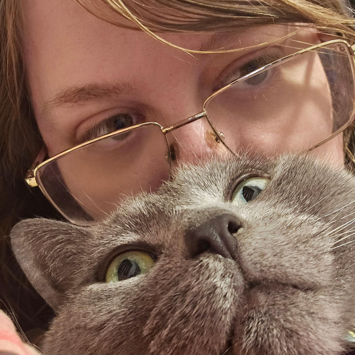 a picture of lumen quill and nebby, the cat